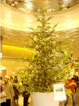 07.12.12.jpg
