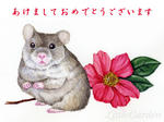 08.01.02.jpg