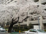 08.03.31.jpg