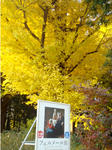 08.12.04.1.jpg