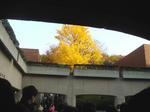 08.12.04.2.jpg