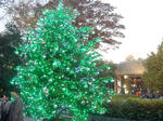 08.12.07.jpg