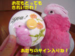 09.03.01.2.jpg