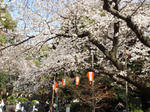 09.03.29.2.jpg