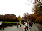 09.11.30.1.jpg