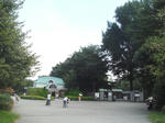 10.09.29.1.jpg
