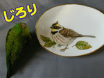 10.11.30.1.jpg