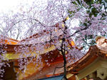 11.04.05.2.jpg