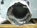 CIMG0307.JPG