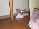 CIMG0341.JPG