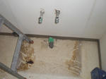 CIMG0377.JPG