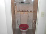 CIMG0394.JPG