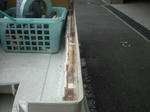 CIMG0395.JPG