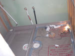 CIMG0442.JPG