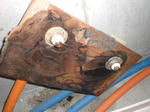 CIMG0509.JPG
