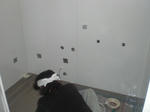 CIMG0568.JPG