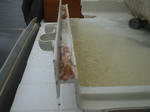 CIMG0577.JPG