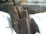CIMG0683.JPG