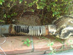 CIMG0672.JPG