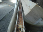 CIMG0743.JPG