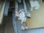 CIMG0744.JPG