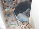 CIMG0751.JPG