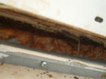 CIMG0779.JPG