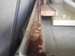 CIMG0824.JPG