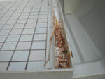 CIMG0856.JPG
