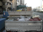 CIMG0863.JPG