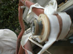 CIMG0874.JPG
