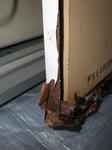 PC150814.JPG