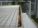 CIMG0914.JPG