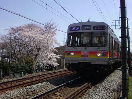 20090403102811.jpg