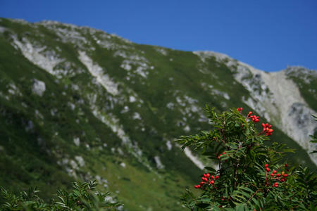 IMG_7039mini.jpg