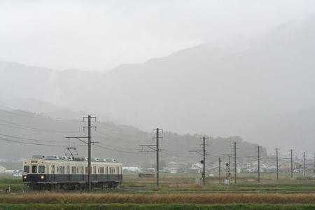 IMG_8177.JPG