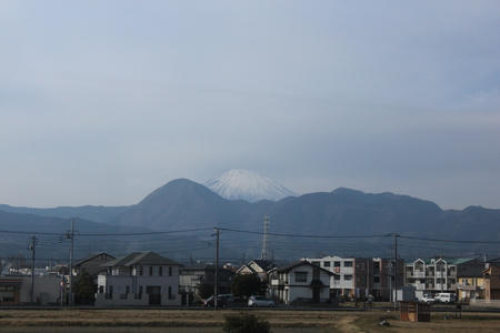 IMG_2469.JPG
