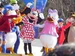 2009_0410tdl0020.JPG