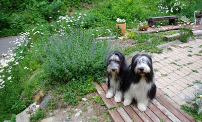 IMGP0891c.jpg