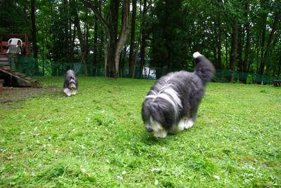 IMGP0956.JPG