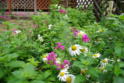 IMGP0958.JPG