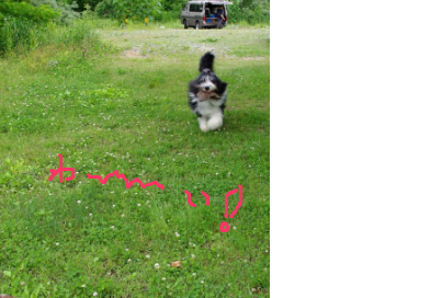 fimg_1277945924.png