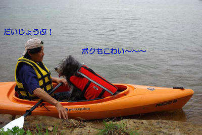 k12.jpg