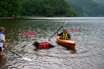 k16.jpg