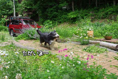 kako-ChICq4AY5zqD8jLv.jpg