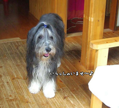 kako-HwjXfFFf9Ad6BZ7I.jpg