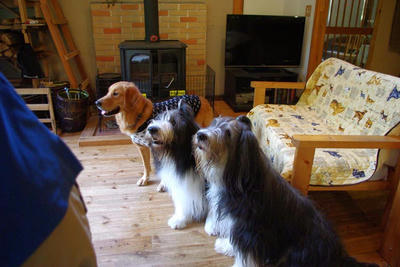 44946e5b.jpg