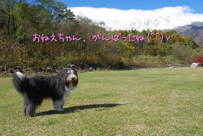 kako-PFMQwXV0PzlfgJ5A.jpg