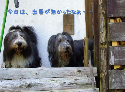 kako-DVtRpzscPkGBT3E8.jpg