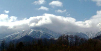 20101116114144c.jpg